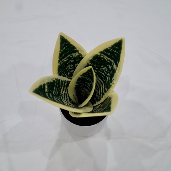 1 PC Fake Snake Plant In Pot Artificial Faux Plant - Picture 2 of 8